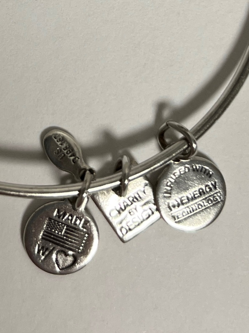Alex and Ani Silver Penguin Charm Bangle with Heart and Tag Accents - Picture 2 of 5